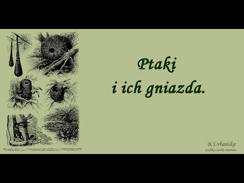 Film edukacyjny "Ptaki i ich gniazda"