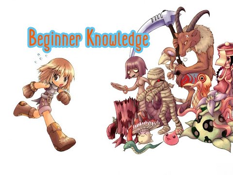 RO Tips : Beginner 101 ความรู้เบื้องต้น ที่ผู้เล่นใหม่ต้องรู้