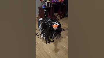 Kiddo in an Ostrich Costume || ViralHog