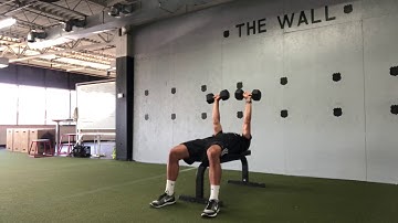 Eccentric DB Bench Press