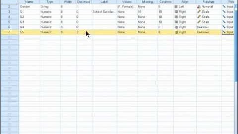 SPSS 19 Training : Adding and Deleting Variables