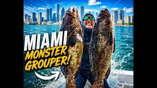Miami SpearFishing Groupers ( Pesca Submarina en Miami )