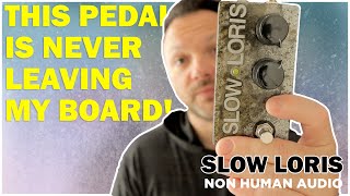 ギター Non-Human Audio SLOW LORIS