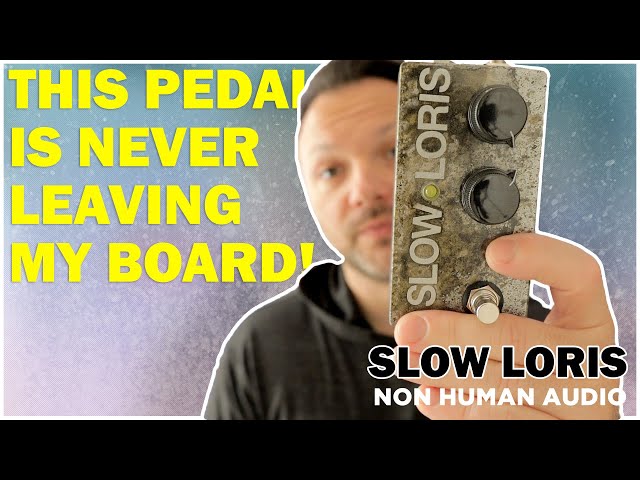 The SLOW LORIS Has Arrived! Non Human Audio Slapback Delay
