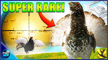 SUPER RARE DIAMOND! | Chasing 7 MONSTERS & More in Revontuli Coast! - Call of the Wild