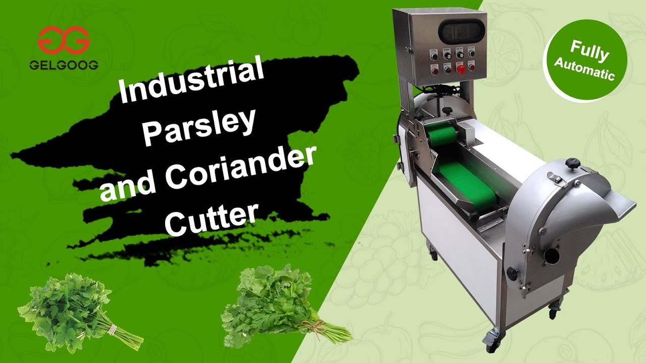 Industrial Parsley and Coriander Chopping Machine 