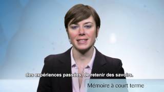 La Mémoire à court terme ou La Mémoire du travail