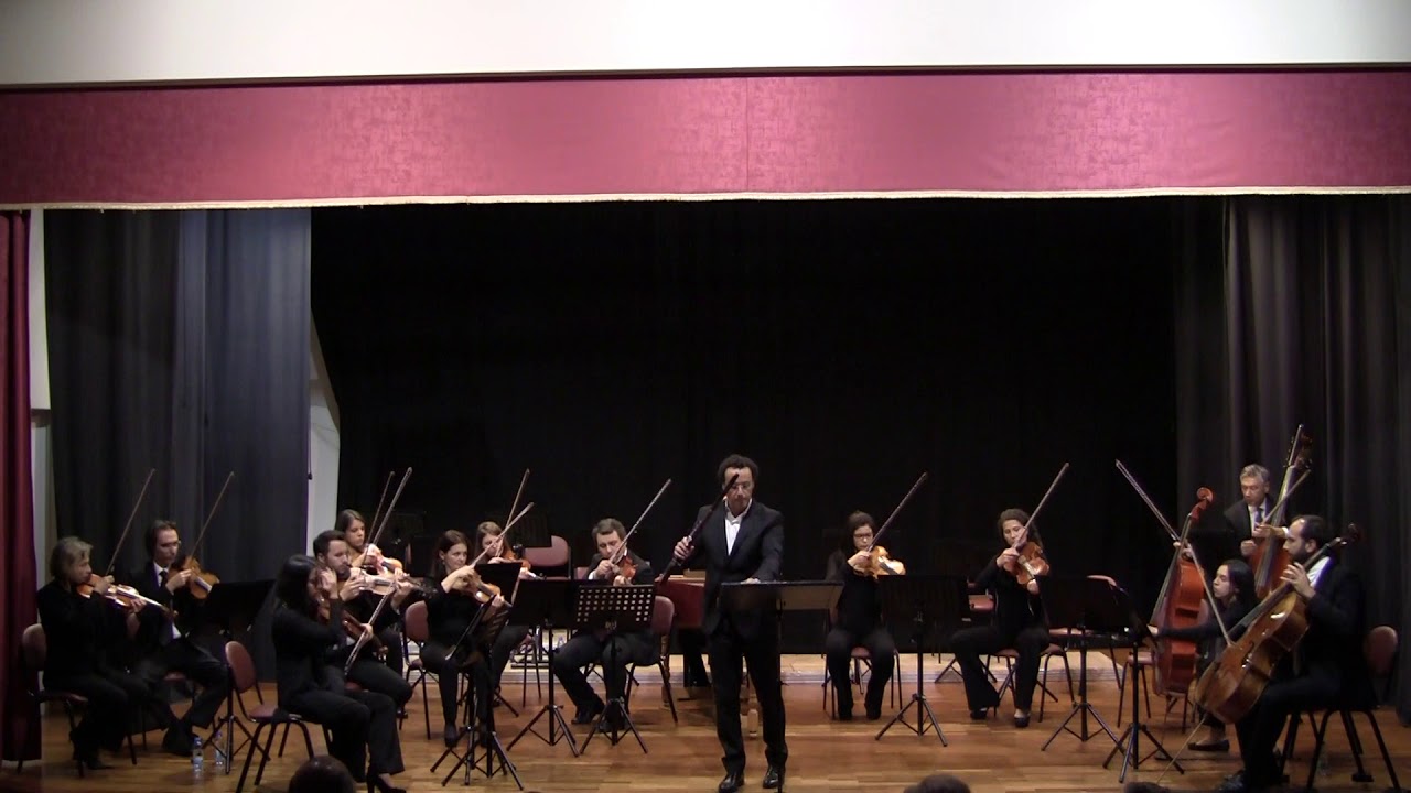 Vivaldi La Notte flute concerto YouTube