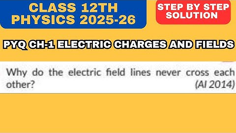 Why do Electric Field Lines never cross (intersect) each other?