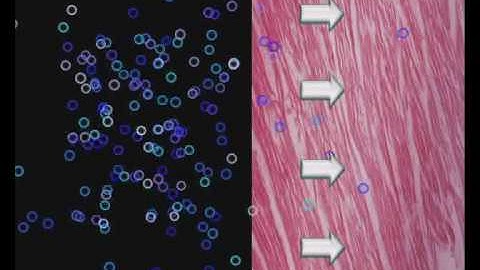 RGBM Tutorial - Gas Interaction Part 1