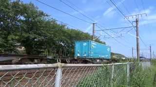 20140618　5072レ　大型枠はJRウイングのみ