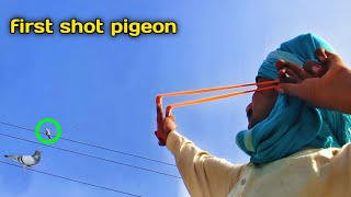 Slingshot birds hunting first shot pigeon!