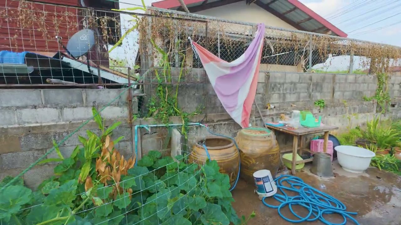 เจอพายุเข้าไปล้มเลย @Srinet Family