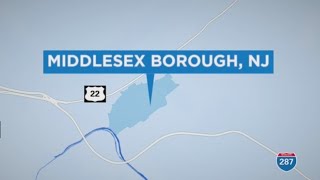 Alligator spotted in New Jersey brook: police