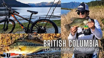 BFS BASS FISHING | LOWER MAINLAND BC | PB CRAPPIE | BEAR ENCOUNTER | KASTKING ZEPHYR | AH AG VENOM