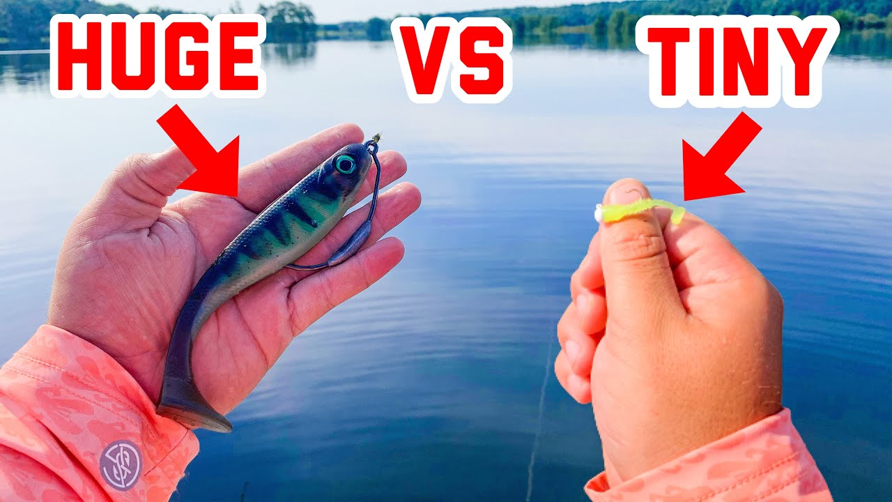 MICRO Swimbait vs. HUGE Swimbait Fishing Challenge