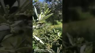 IMG 1494 2