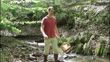 Benthic Macroinvertebrates!