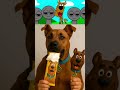 Incredibox Sprunki Oc - Scooby Doo Ic cream In Real Life!