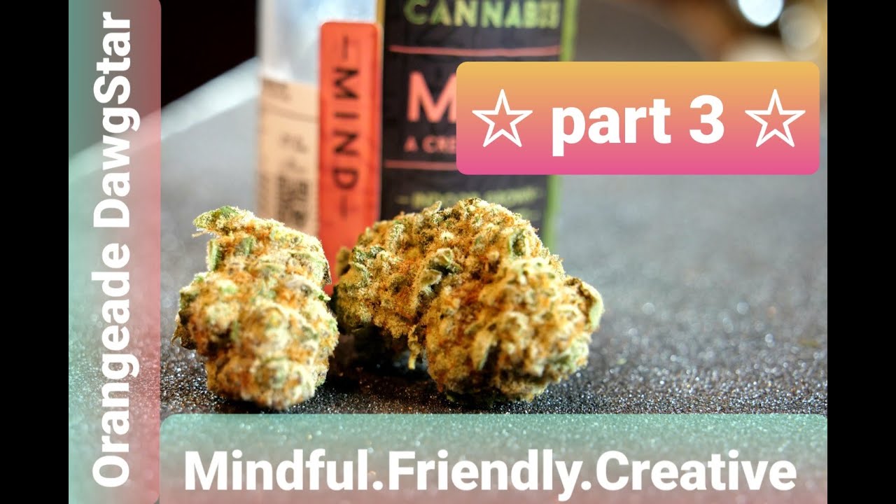 "The 2BB" Fast review of Orangede by Dawg Star Cannabis