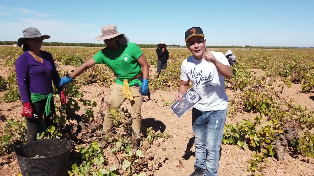 Vendimia Tomelloso 2021