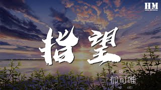 鬱可唯 - 指望『別指望我諒解 別指望我體會』【動態歌詞Lyrics】