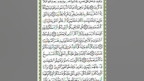 Surah Al Jathiyah | Shaikh Khalifa Al Tunaji | سورة الجاثية | الشيخ خليفة الطنيجي
