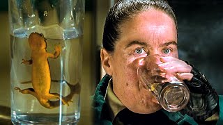 Un Grand Verre De Jus De Lézard Matilda Extrait Vf