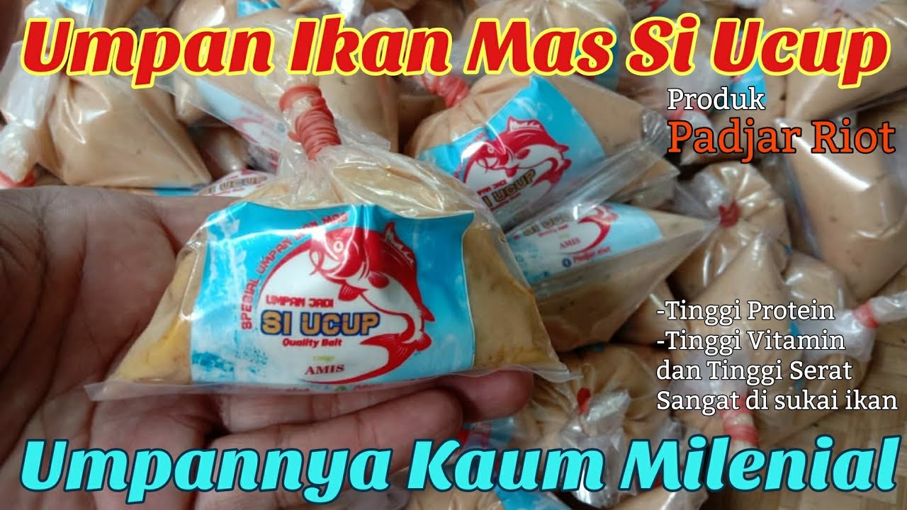 Baru! UMPAN IKAN MAS PALING JITU | Intip Proses Pembuatan Umpan Si Ucup by Padjar Riot