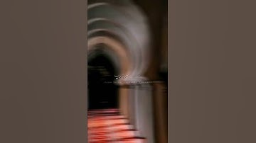 الشيخ : ياسر الدوسري [] سورة هود [] الآيه :{88}🌹 🤍