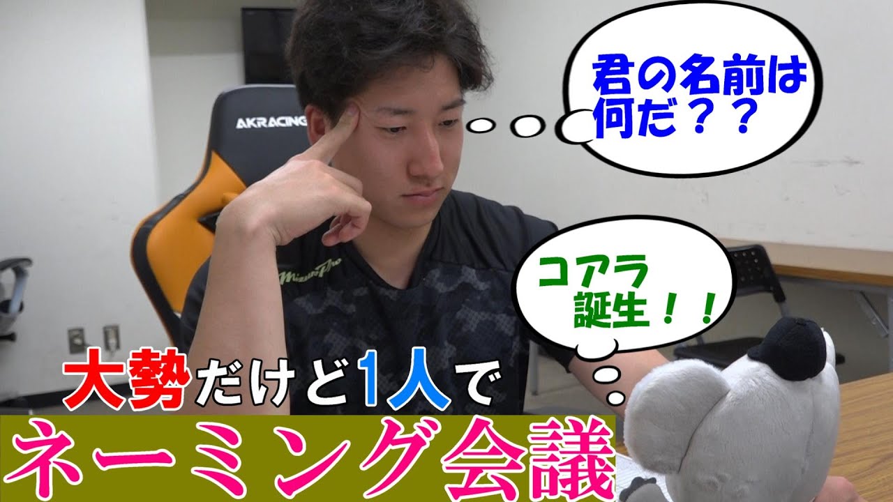 コアラに名前を！1人ネーミング会議🐨