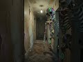Spooky Scary Skeletons