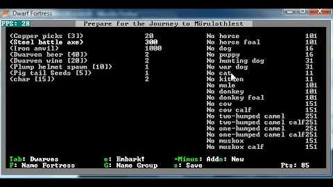Lets Play Dwarf Fortress part 1 - Embarking