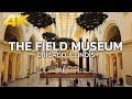 CHICAGO - The Field Museum of Natural History, Downtown Chicago, Illinois, USA, Travel, 4K UHD
