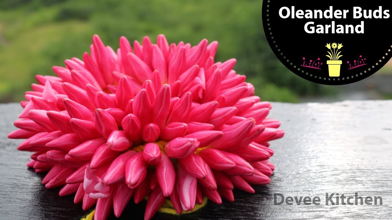Oleander  Buds Garland || Arali mottu poo malai || Ganneru moggala Mala || Garland in 5 minutes 💗💗