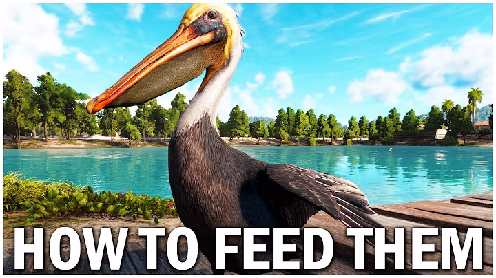 Far Cry 6 How to Feed Pelicans EASY