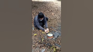 Hôm nay mình sẽ nấu canh cá rô phi với chuối bơm nha cả nhà