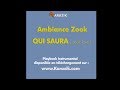 Ambiance Zook_QUI SAURA