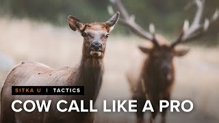 How To Boost The Realism Of Your Elk Call
