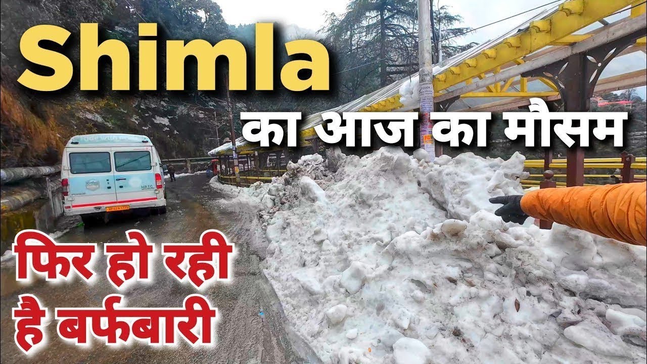 Latest video Shimla Kufri Narknada Snowfall Update , Shimla Live  Snowfall , Shimla next Snowfall 