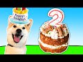 How to make a doggy birt.ay cake 