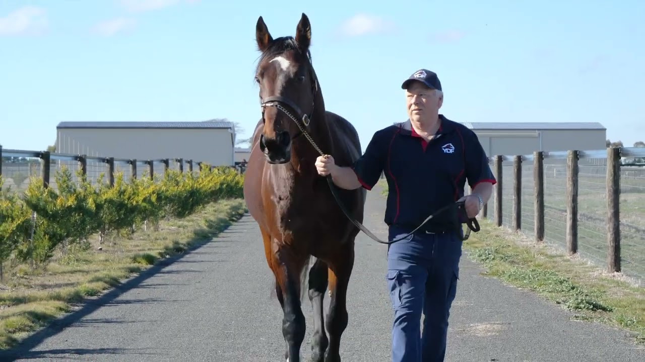 E L TITAN available to Australian & New Zealand Breeders! 