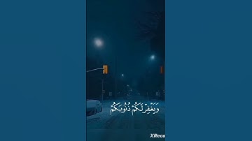 تلاوة هادئة 😴 #فلسطين_حرة #اكسبلور