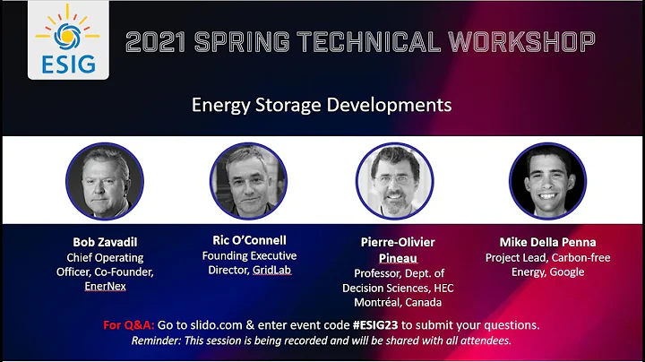 2021 Spring Workshop Session 7: Energy Storage Developments