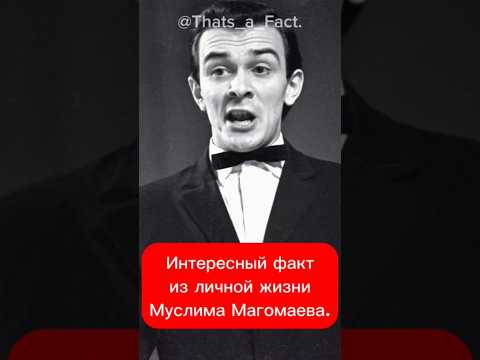 Интересный факт из