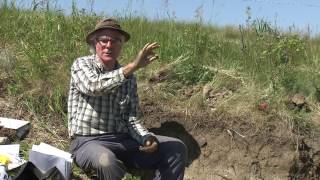 Soil Consistence