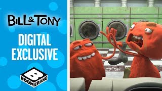 Bill and Tony | Digital Exclusive: All Episodes | Boomerang UK 🇬🇧