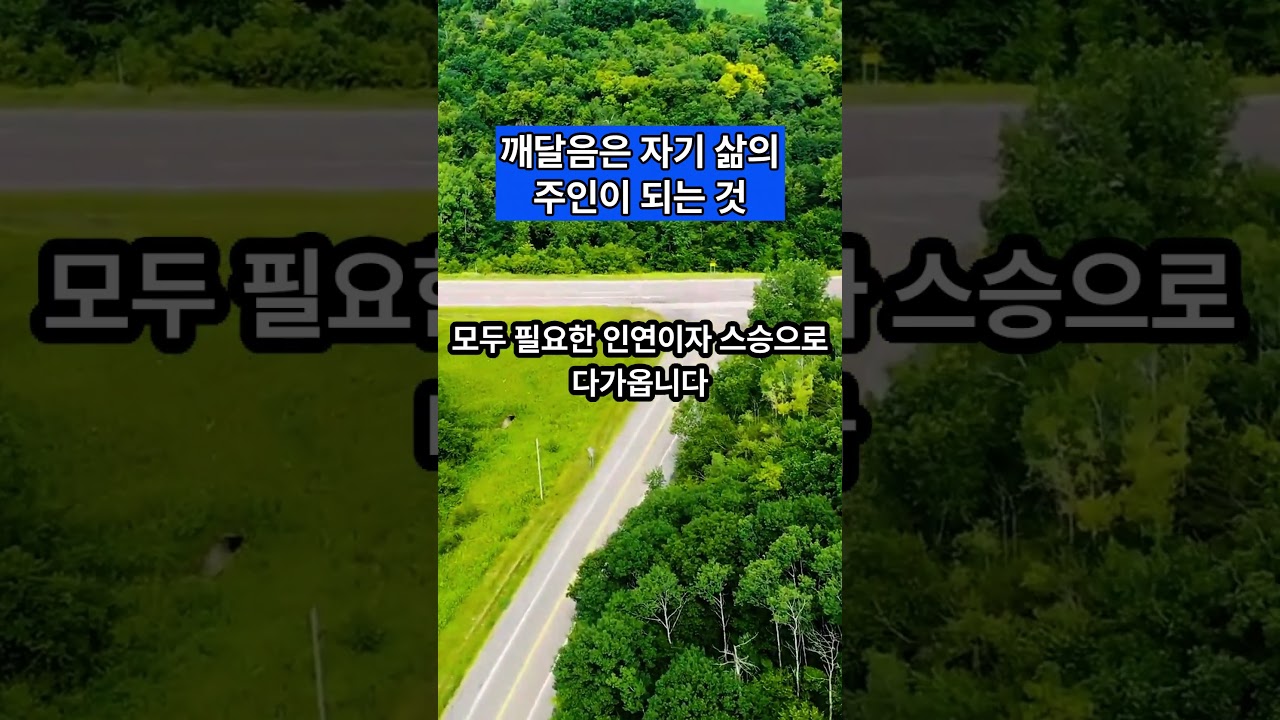 깨달음은 자기 삶의 주인이 되는 것 #알아차림 #받아들임 — Transcript