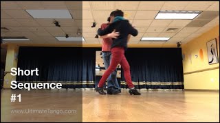 Short Sequence 1