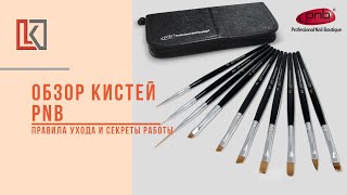 Обзор кистей PNB. Правила ухода и секреты работы.